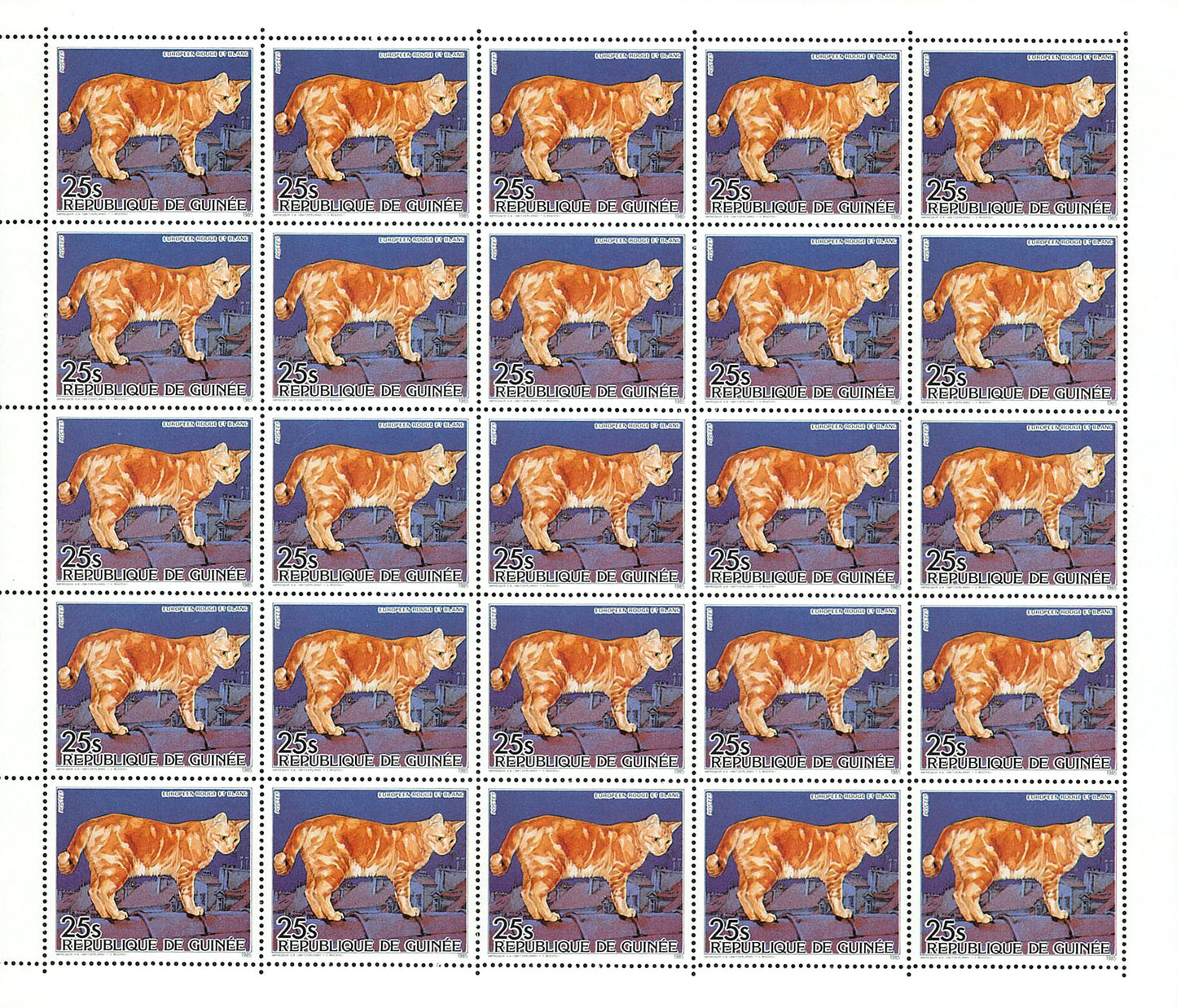 Cats & Dogs 1985