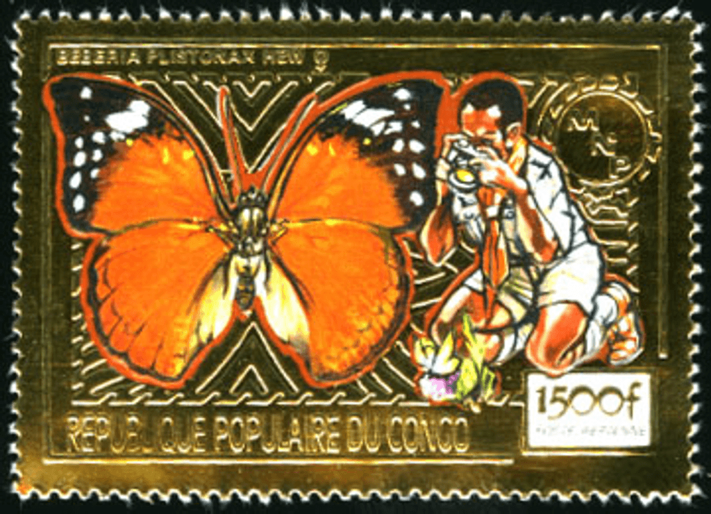 Scouting ,Mushrooms & Butterflies / Gold Issues