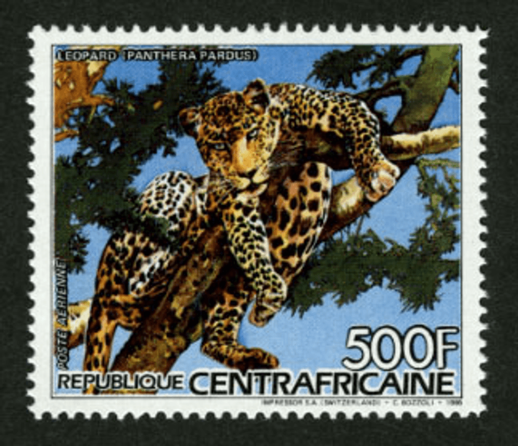 Flora and Fauna 1986