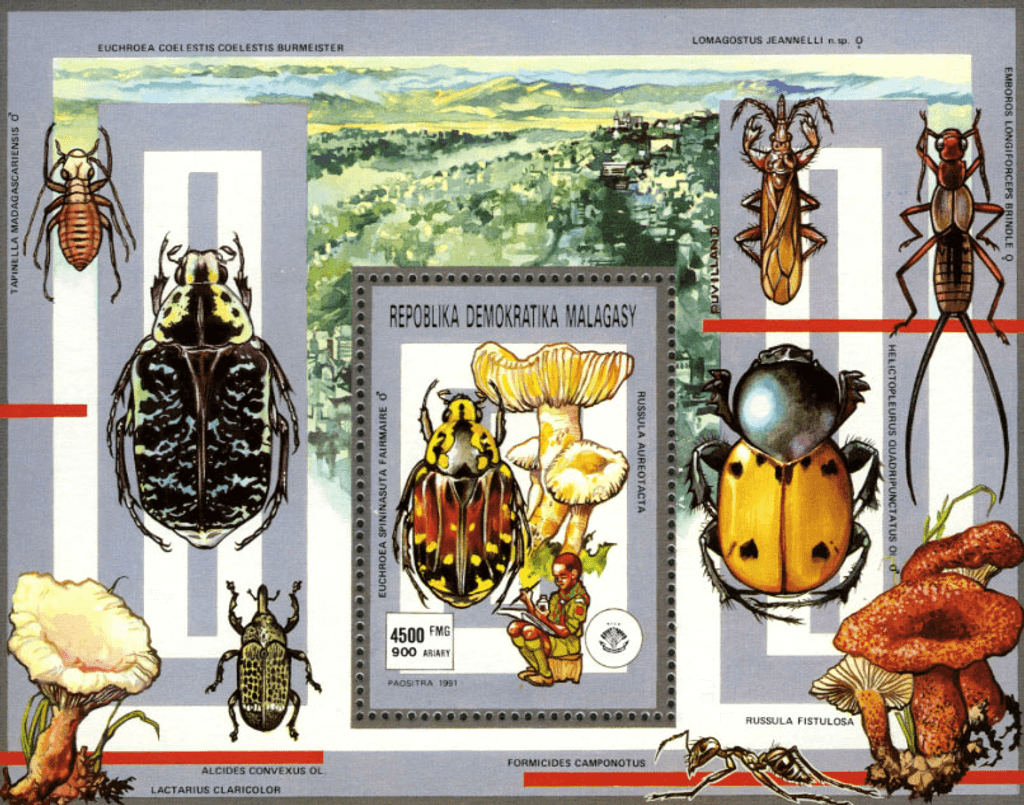 Pathfinger Movement Insects and Fungi 1991