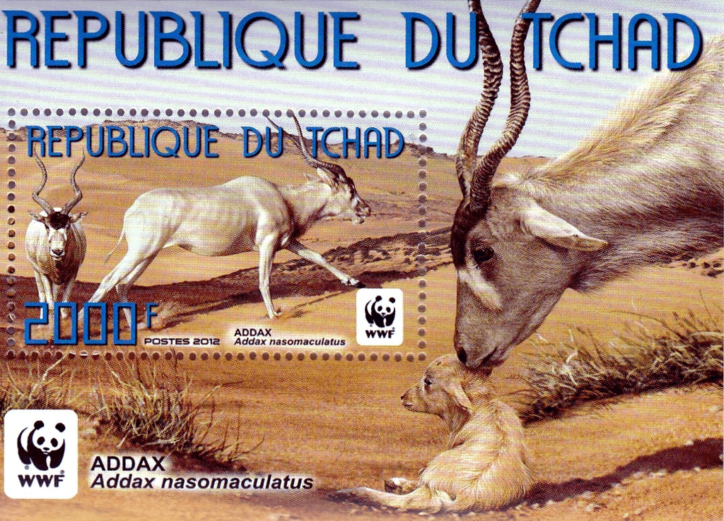 World Wild Nature Antelope 2012