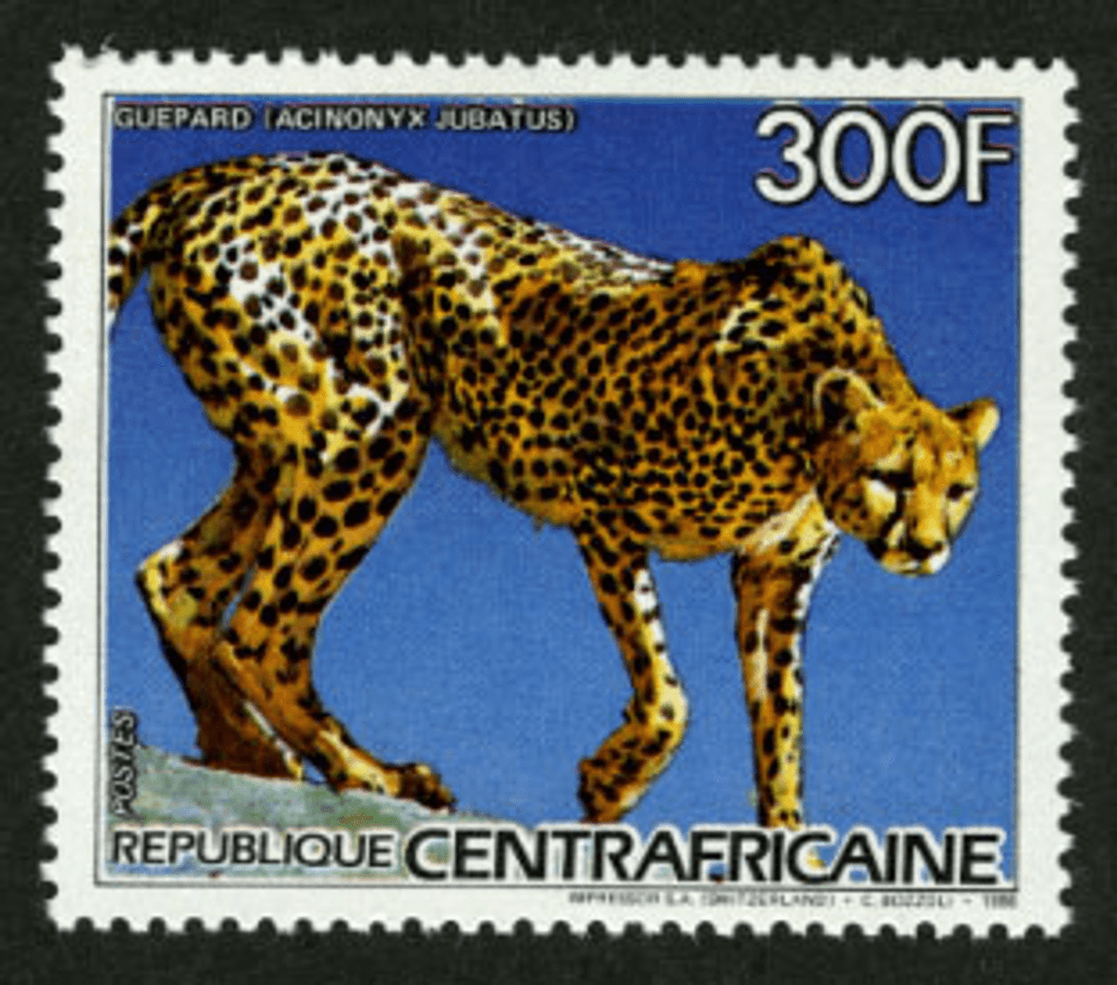 Flora and Fauna 1986