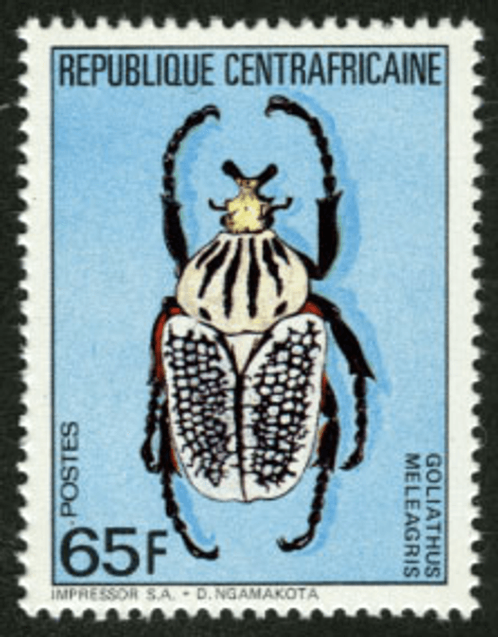 Beetles 1985