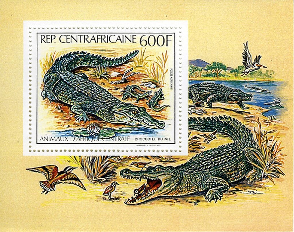 Central Africa Animals