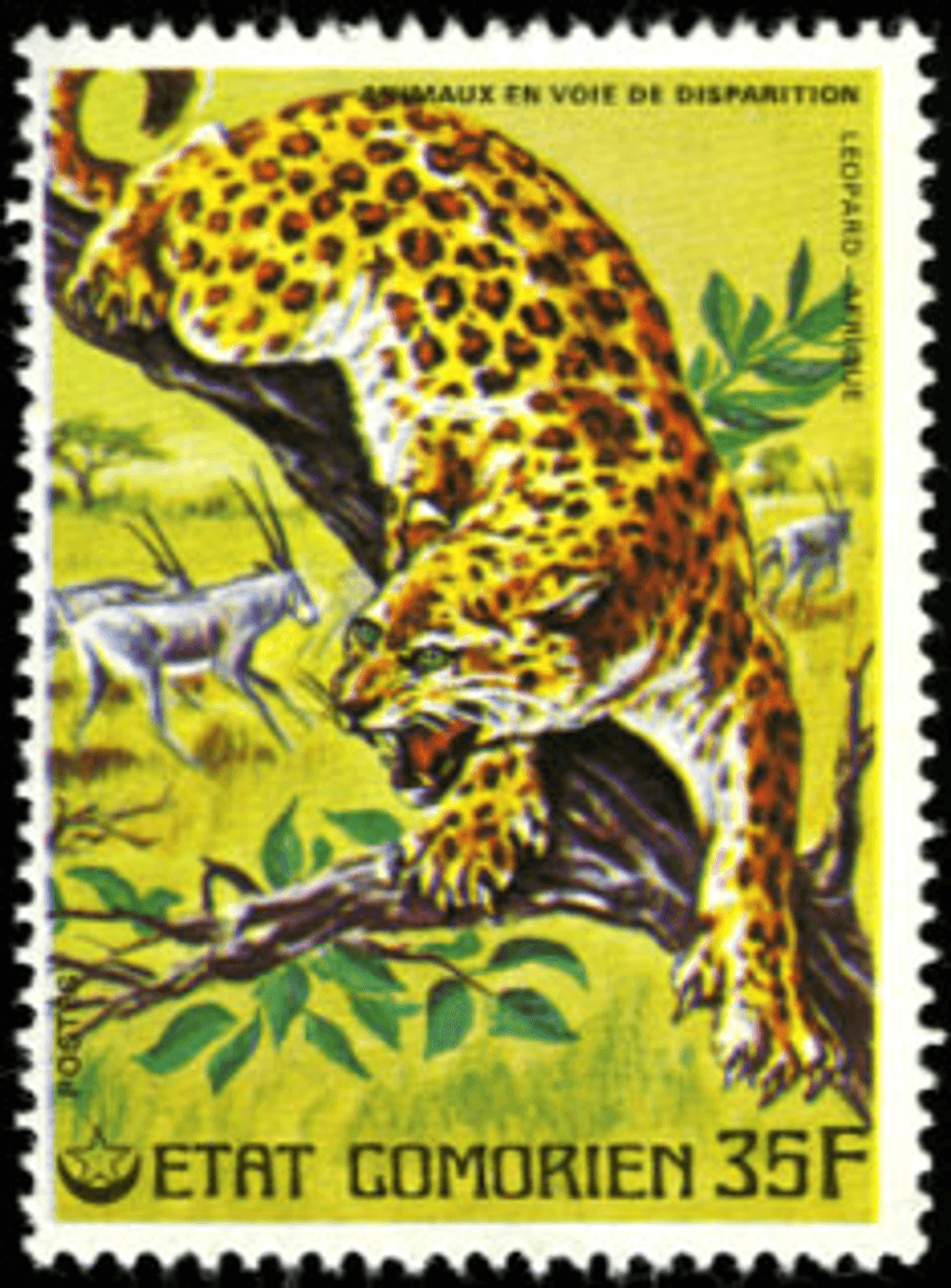 Endangered Animals