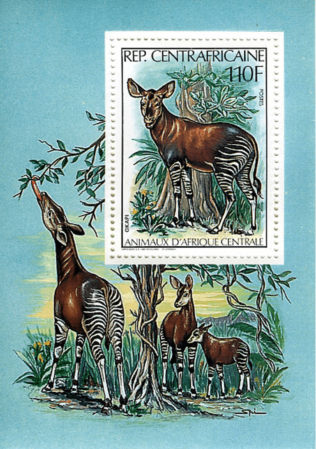 Central Africa Animals