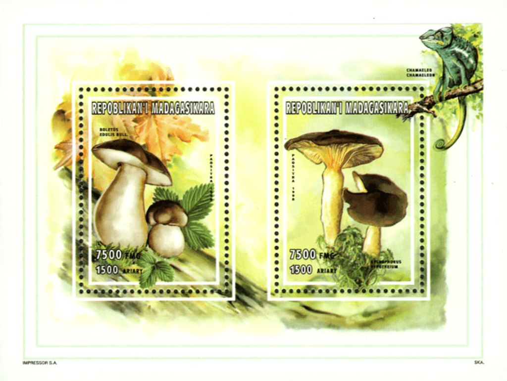 Natural: insects, mushrooms, minerals 1998