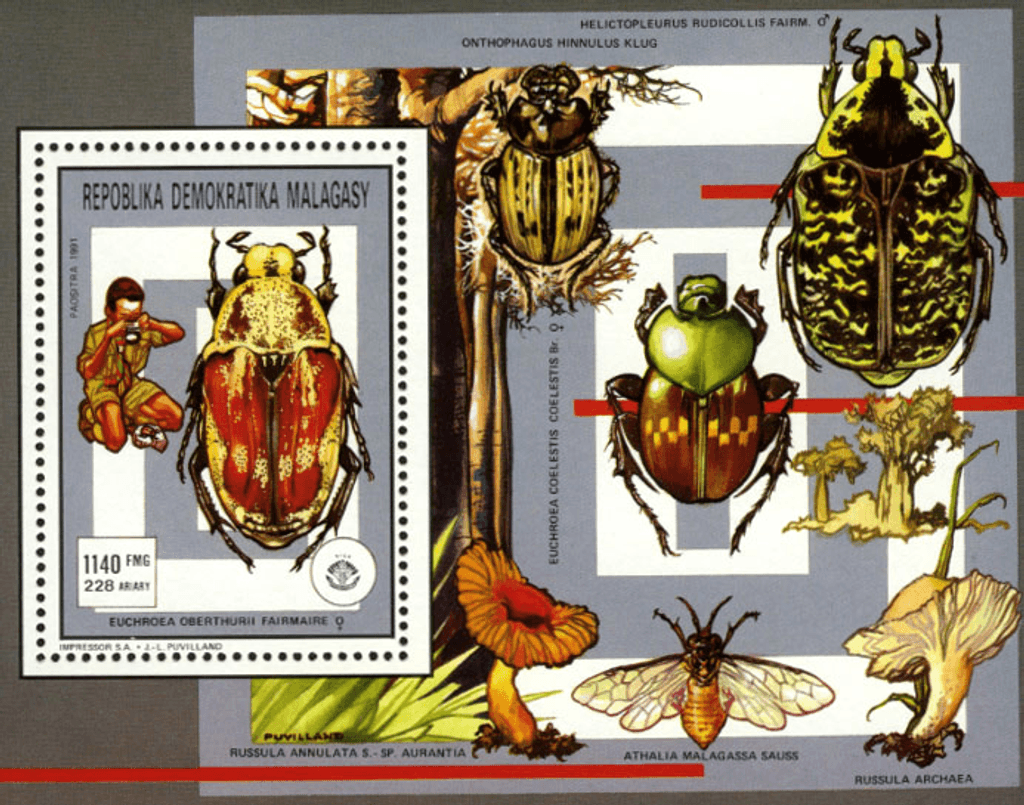 Pathfinger Movement Insects and Fungi 1991