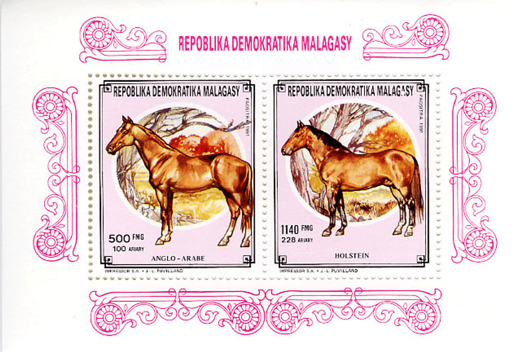 Domestic animals