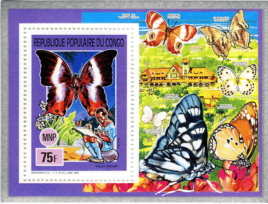 Scouting , Mushrooms & Butterflies