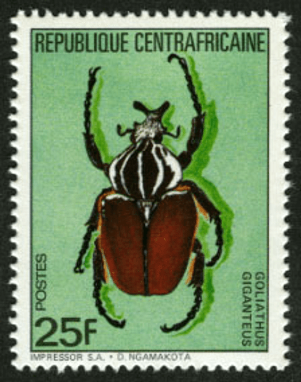 Beetles 1985