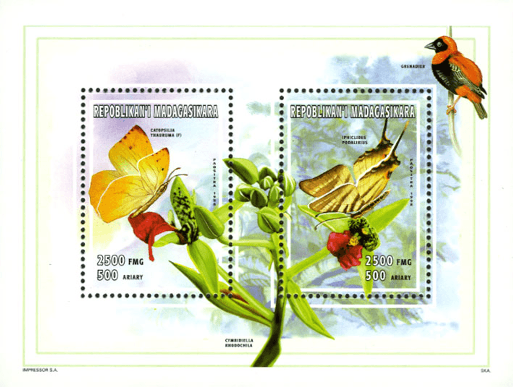 Natural: insects, mushrooms, minerals 1998