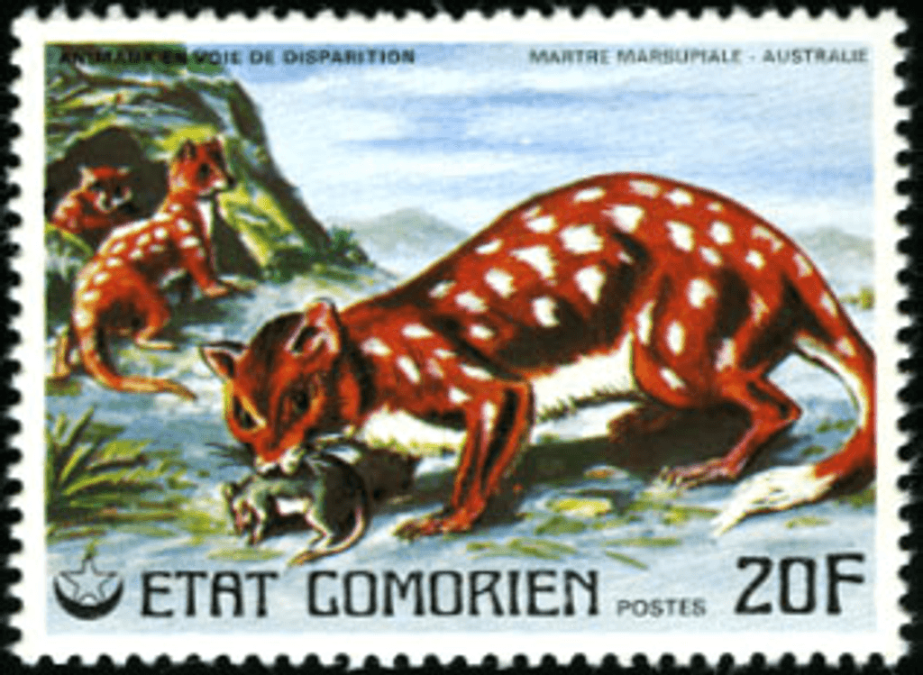 Endangered Animals