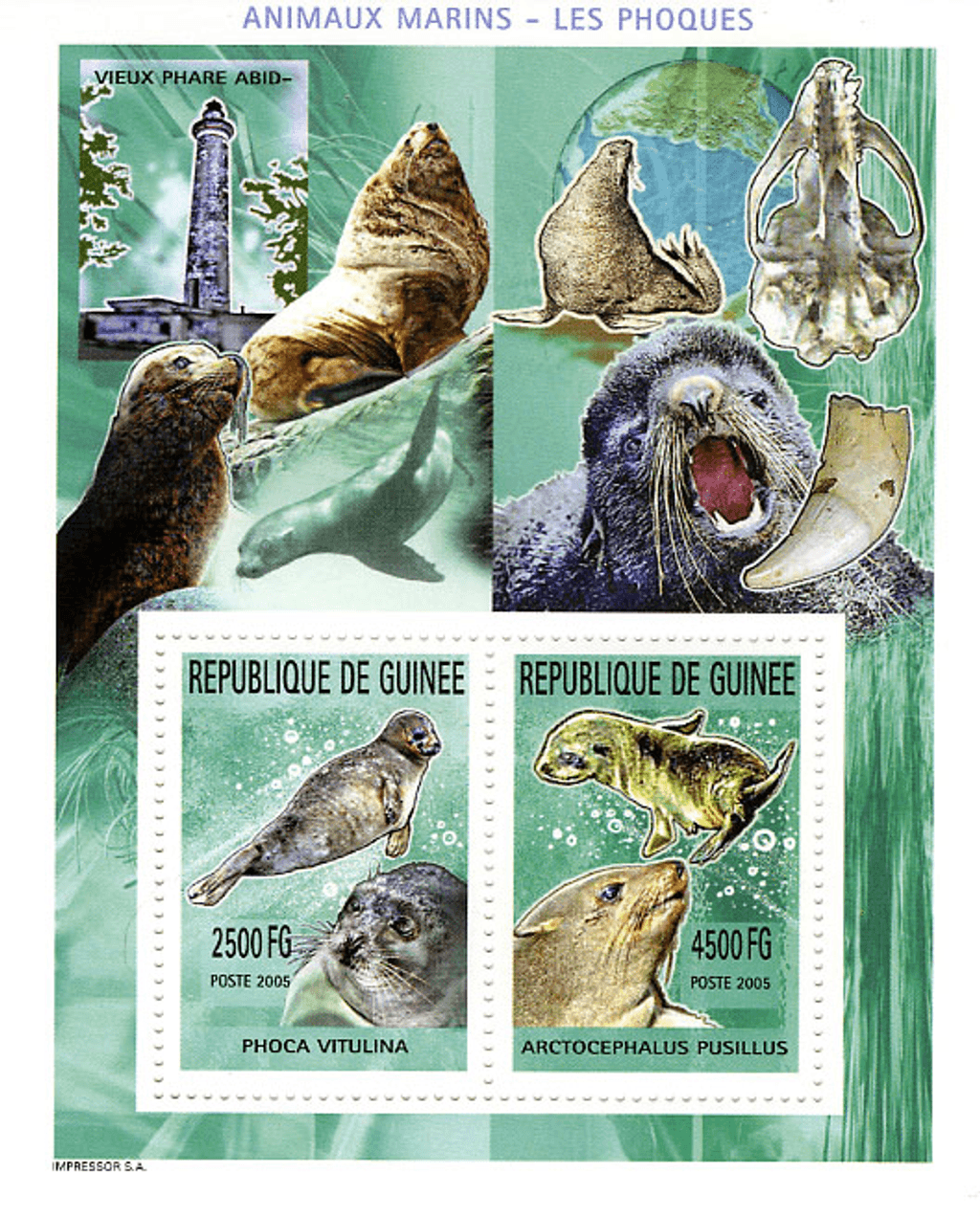 Marine Animals (820)