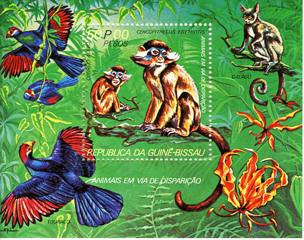 Endangered animals (687)