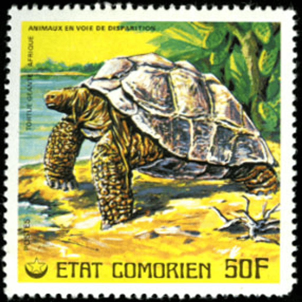 Endangered Animals Part 2