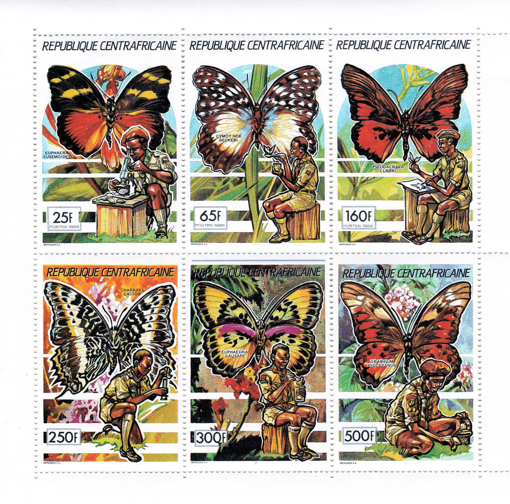 Pathfinder movement: butterflies 1990