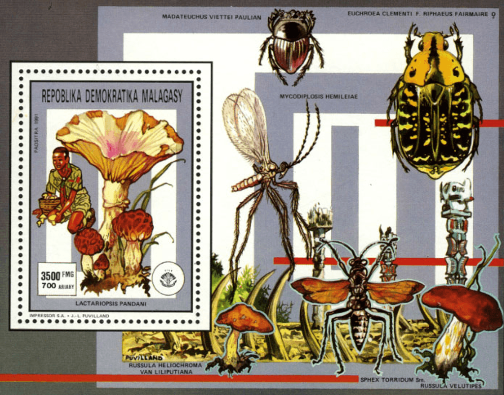 Pathfinger Movement Insects and Fungi 1991