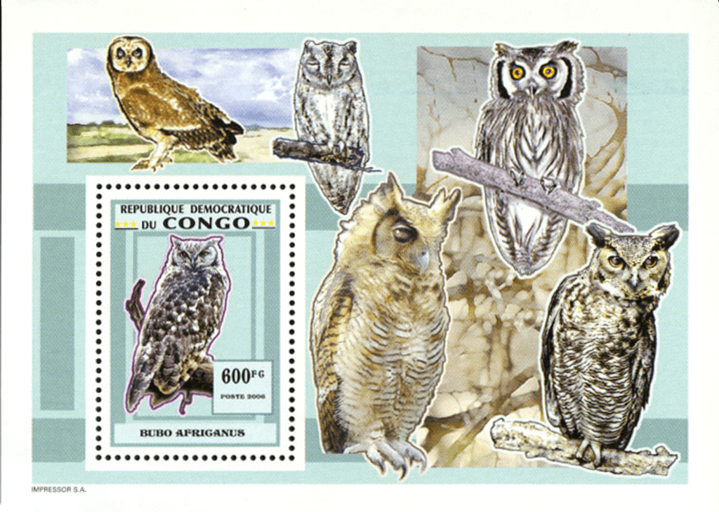 Owls