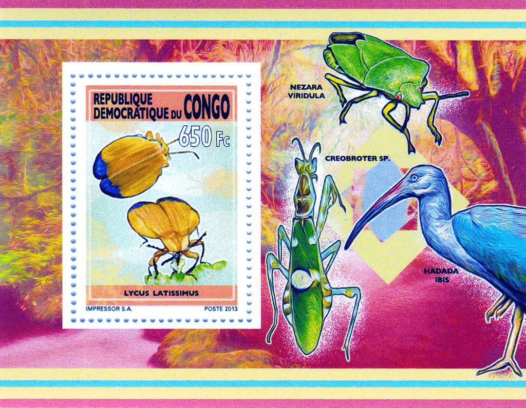 Insect 2012