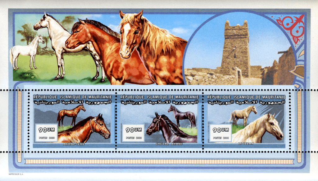 Horses