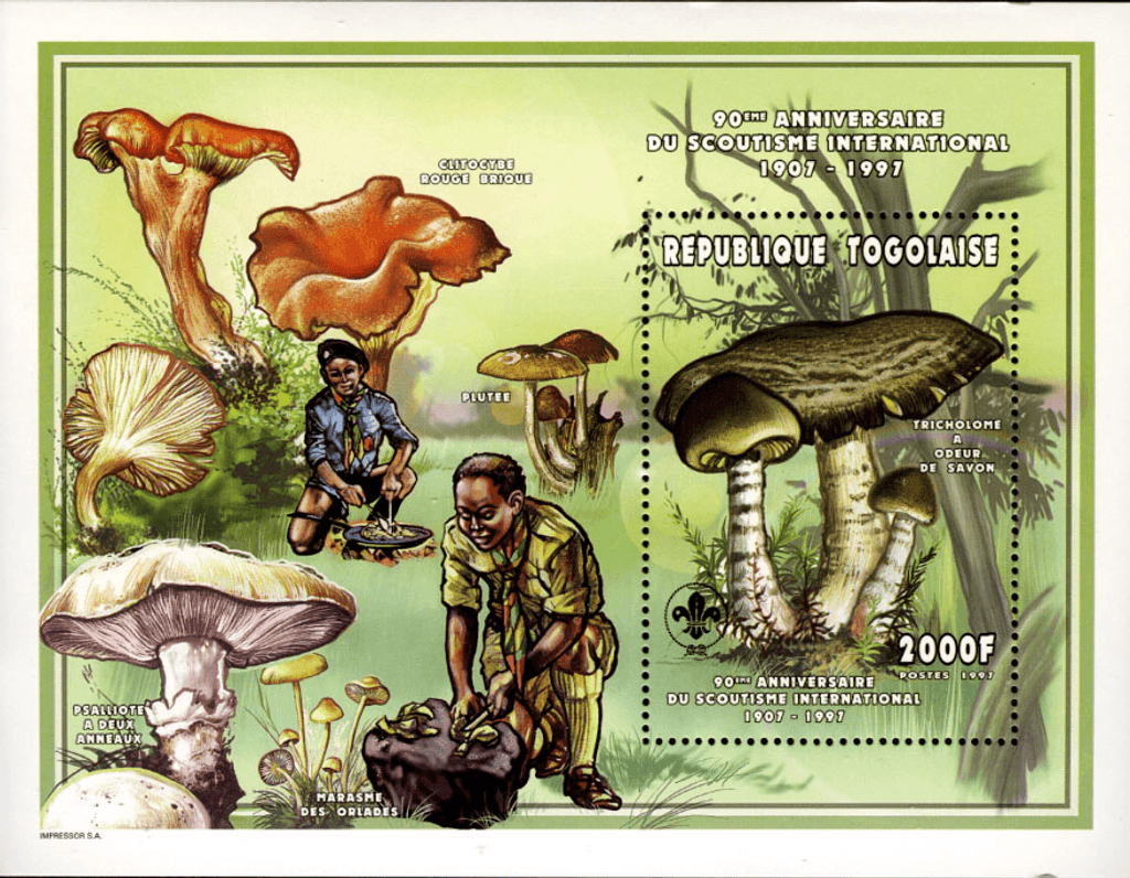 International scouting , 90th anniversary
