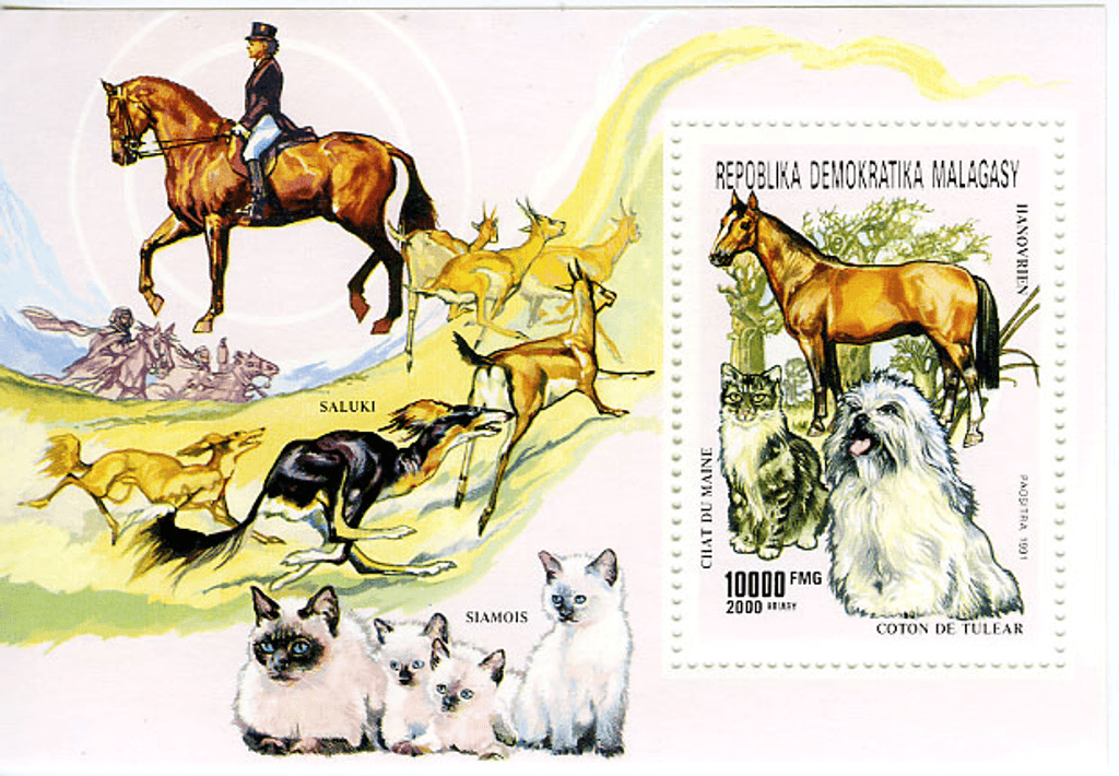 Domestic animals