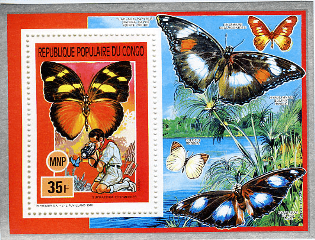 Scouting , Mushrooms & Butterflies