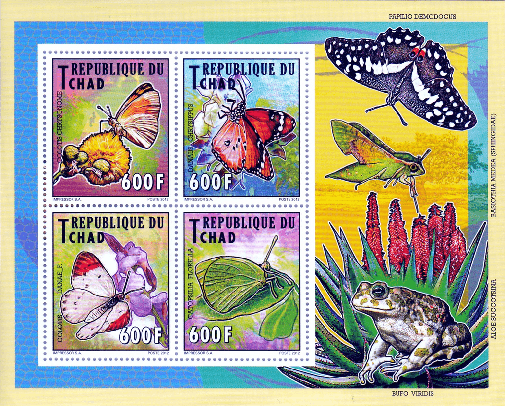 Native Butterflies 2012