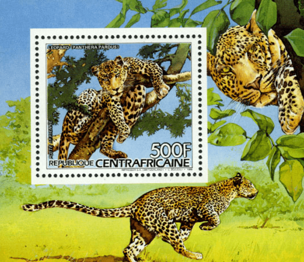 Flora and Fauna 1986