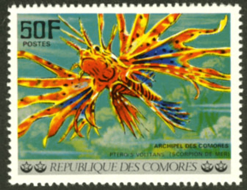 Aquatic Wildlife - Fish