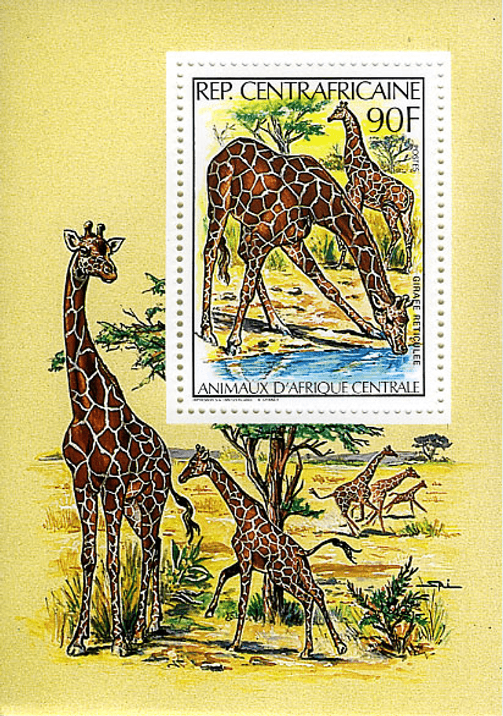 Central Africa Animals