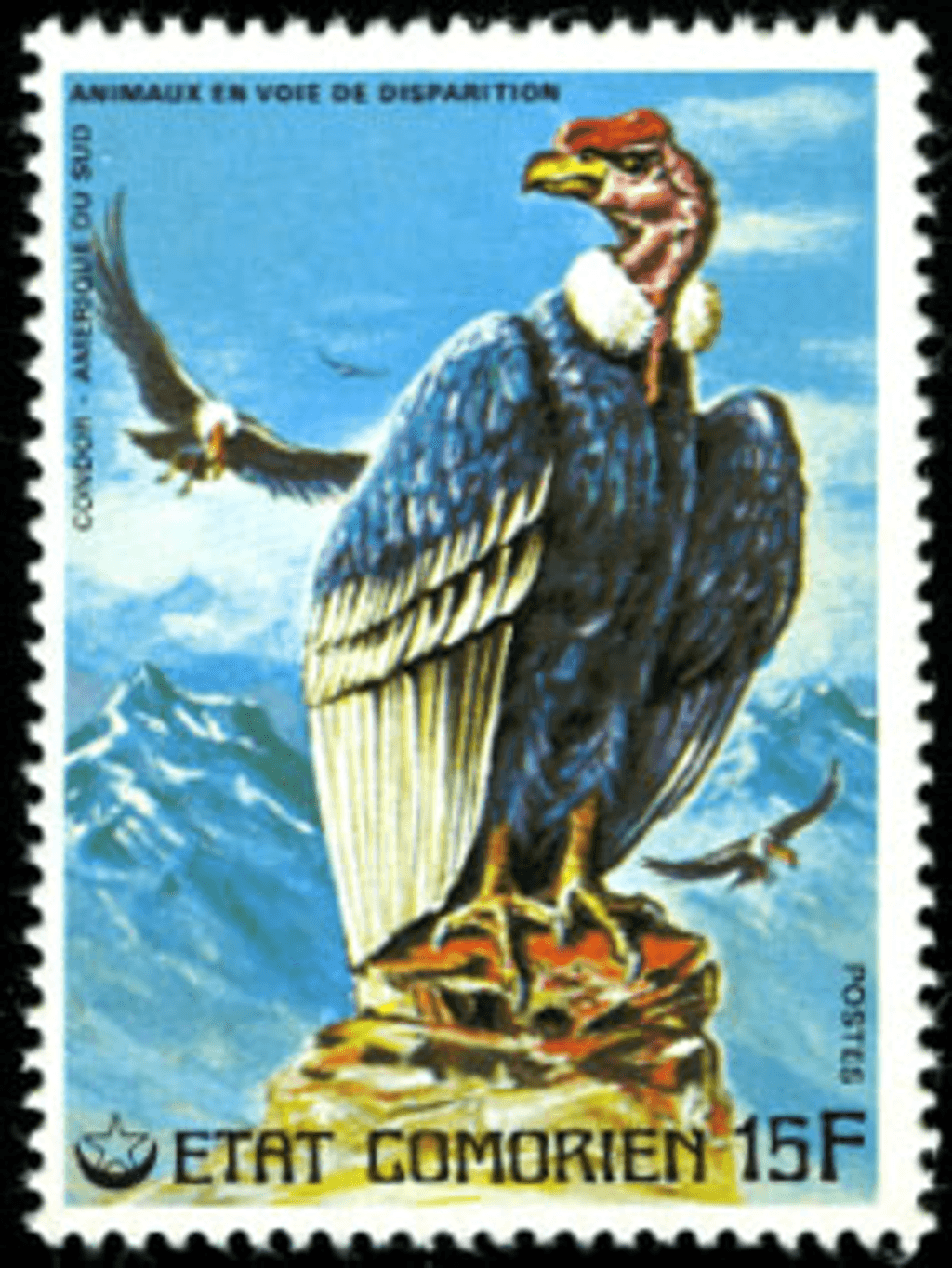 Endangered Animals