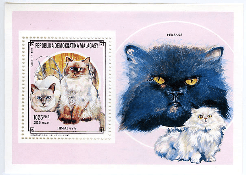 Domestic animals