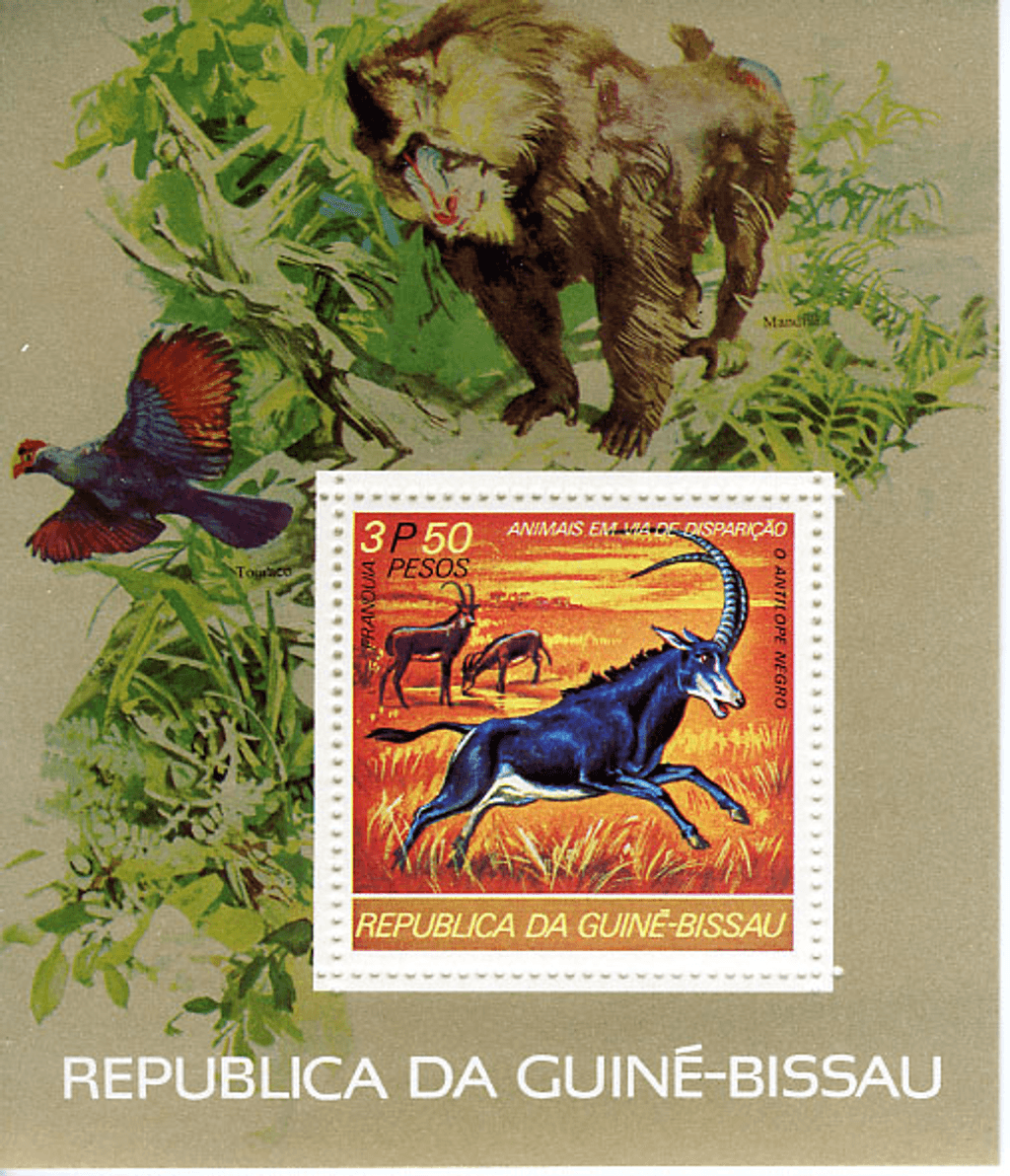 Endangered animals (687)