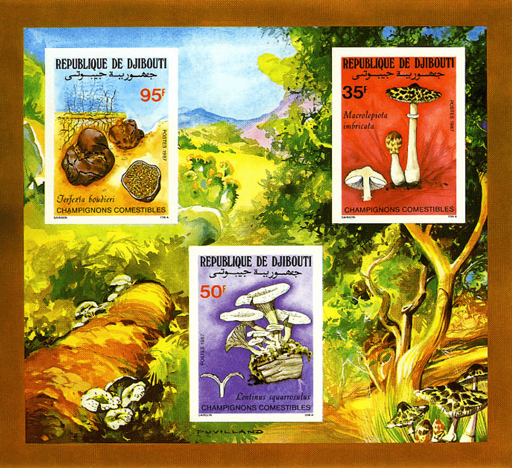 mushrooms perf. and imperf.