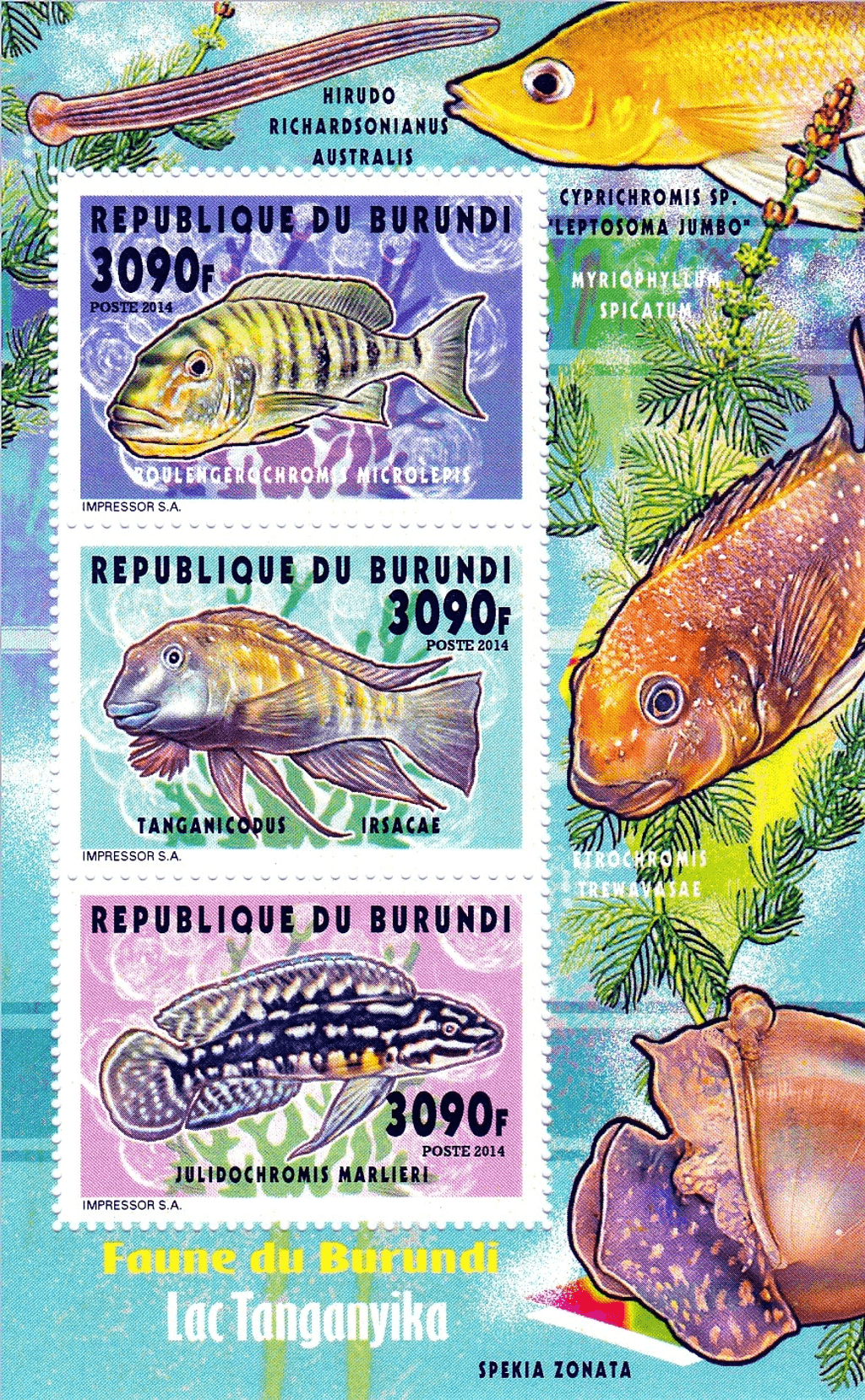 Fish Lake Tanganyika 3090