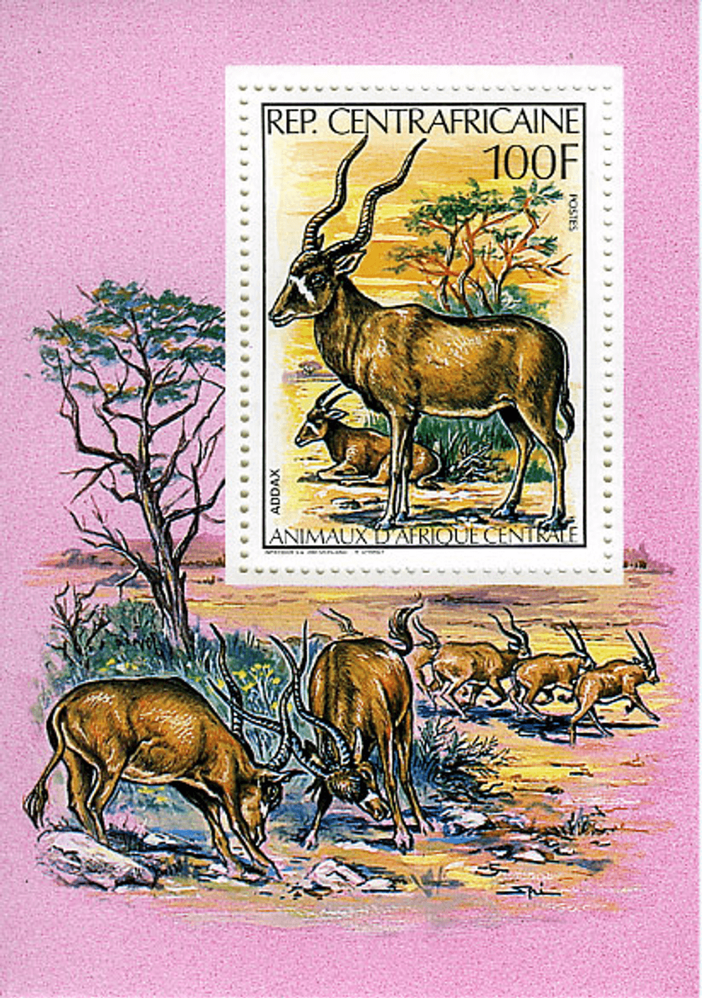 Central Africa Animals