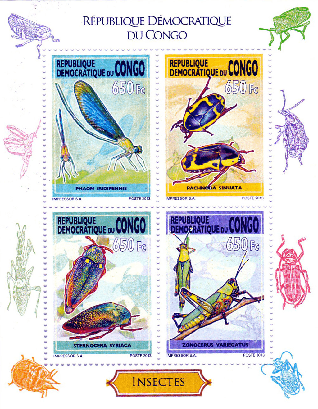 Insect 2012