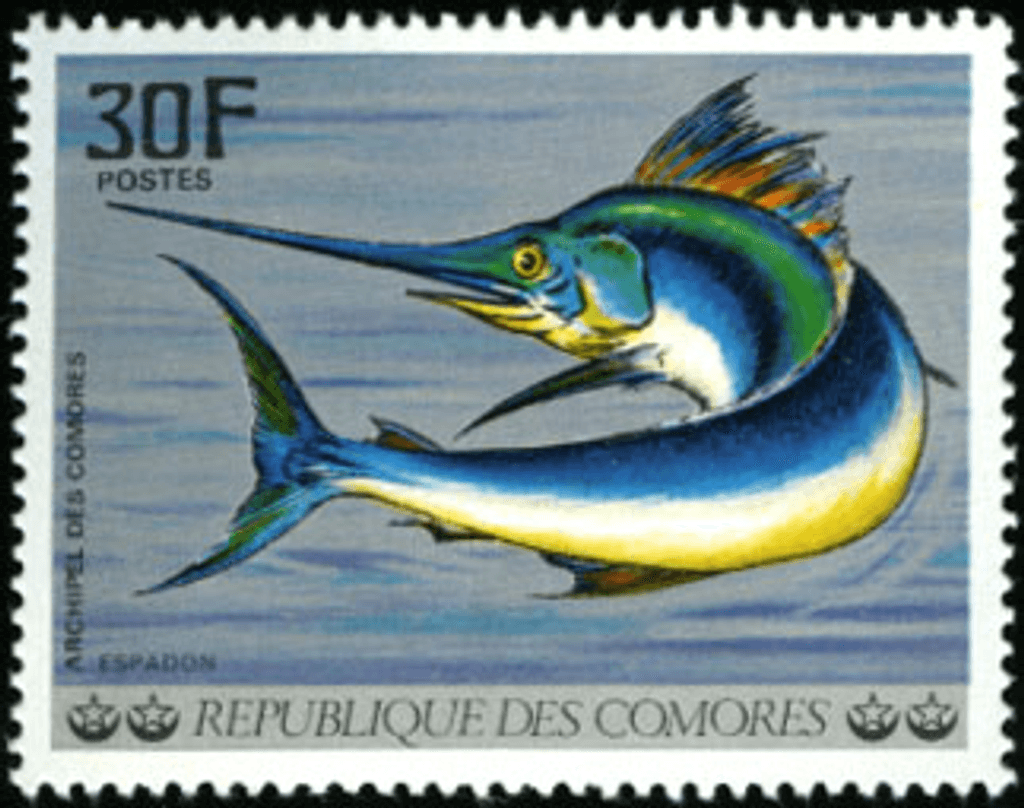 Aquatic Wildlife - Fish