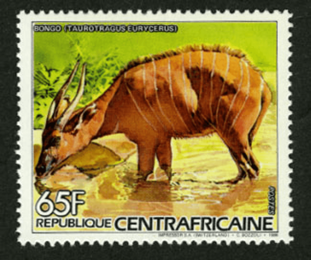 Flora and Fauna 1986