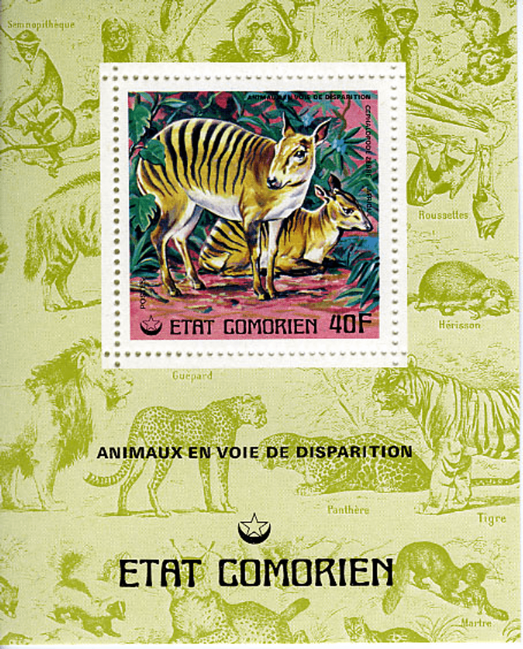 Endangered Animals Part 2