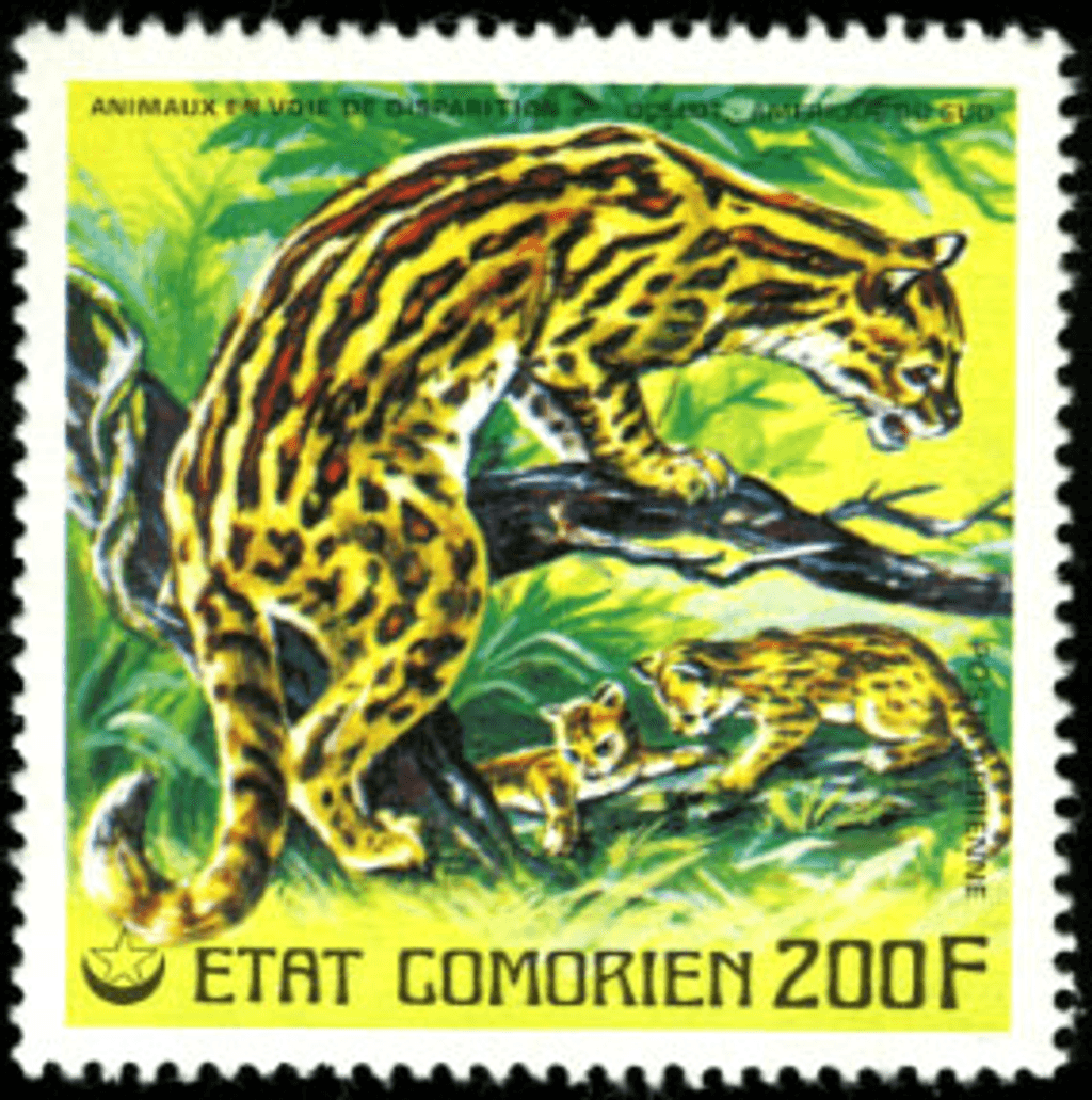 Endangered Animals Part 2
