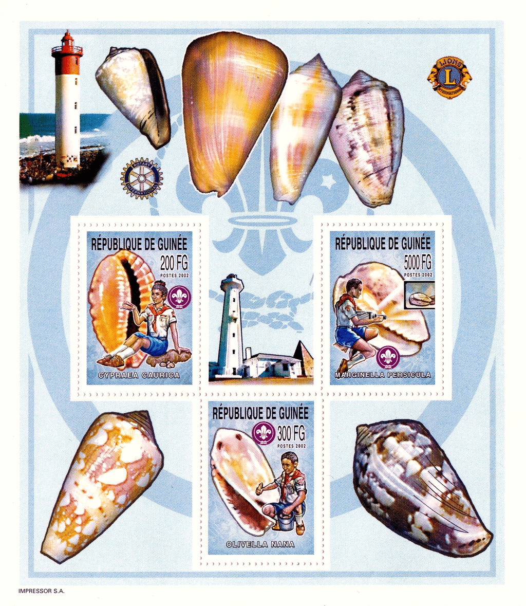 Boy Scout and Sea Snails 2002