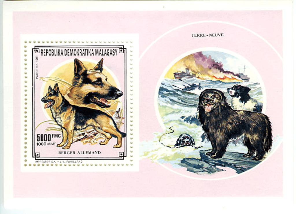 Domestic animals