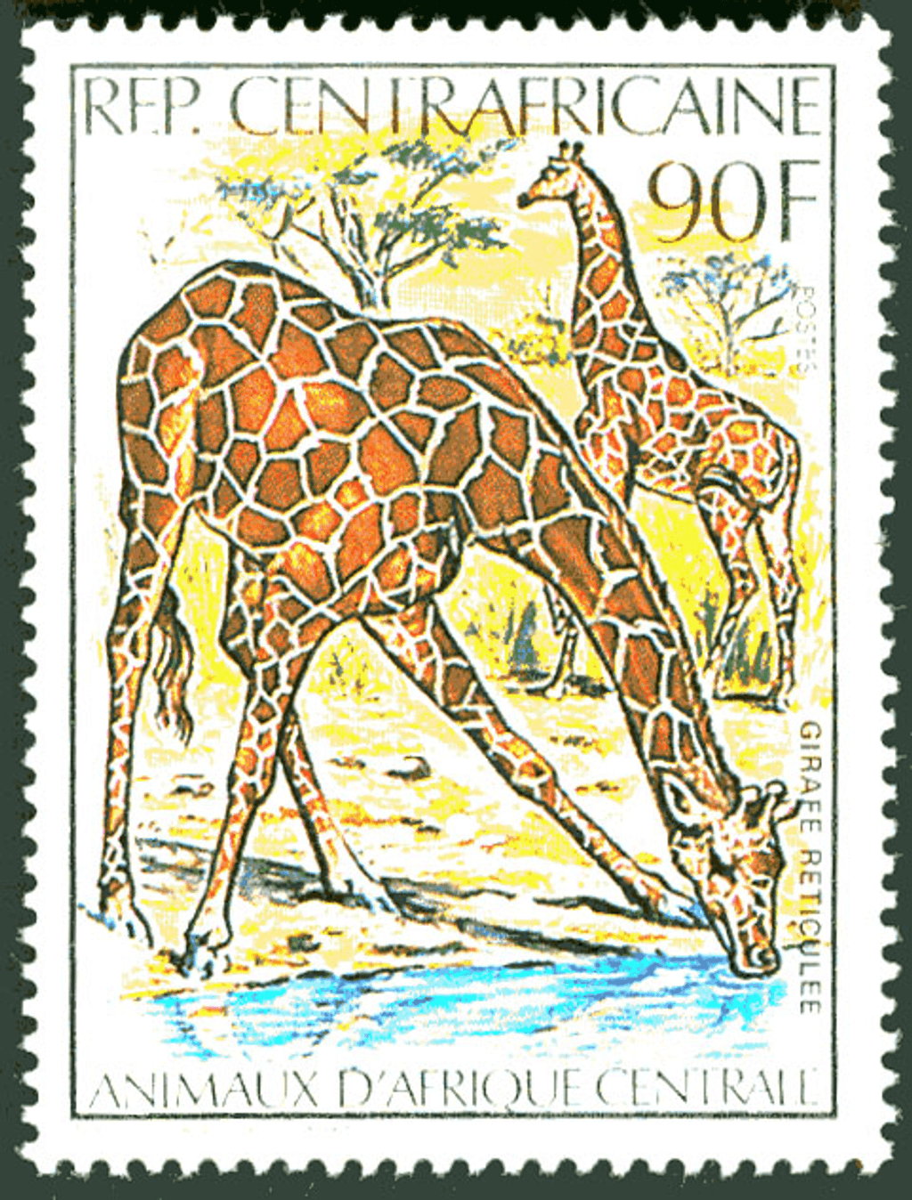 Central Africa Animals