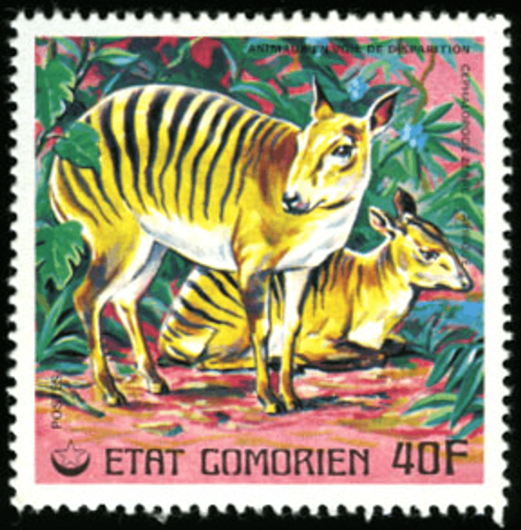 Endangered Animals Part 2