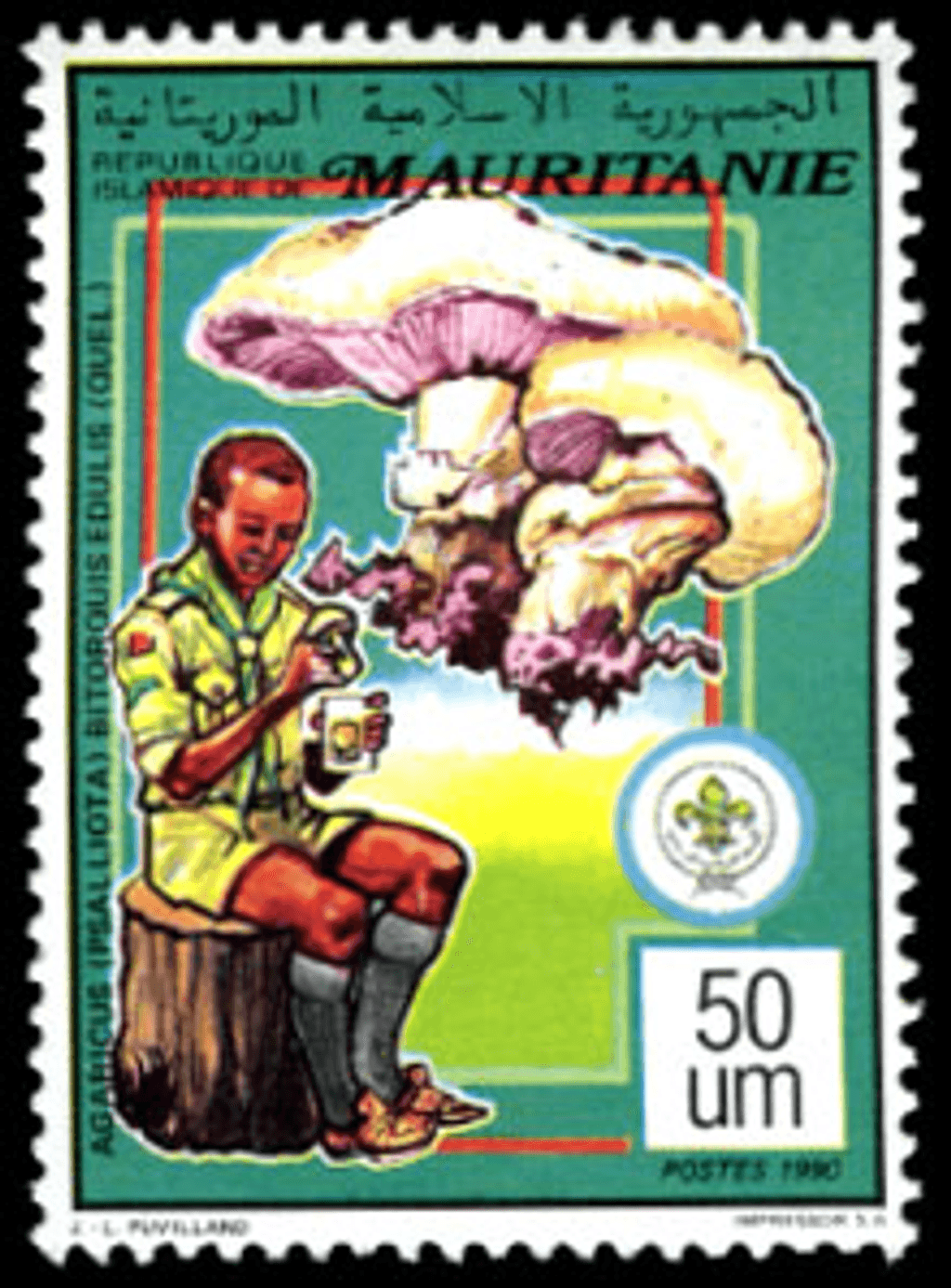 Scouting & Mushrooms
