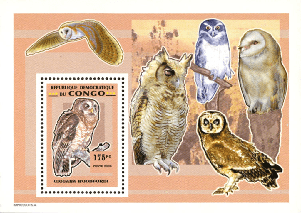 Owls