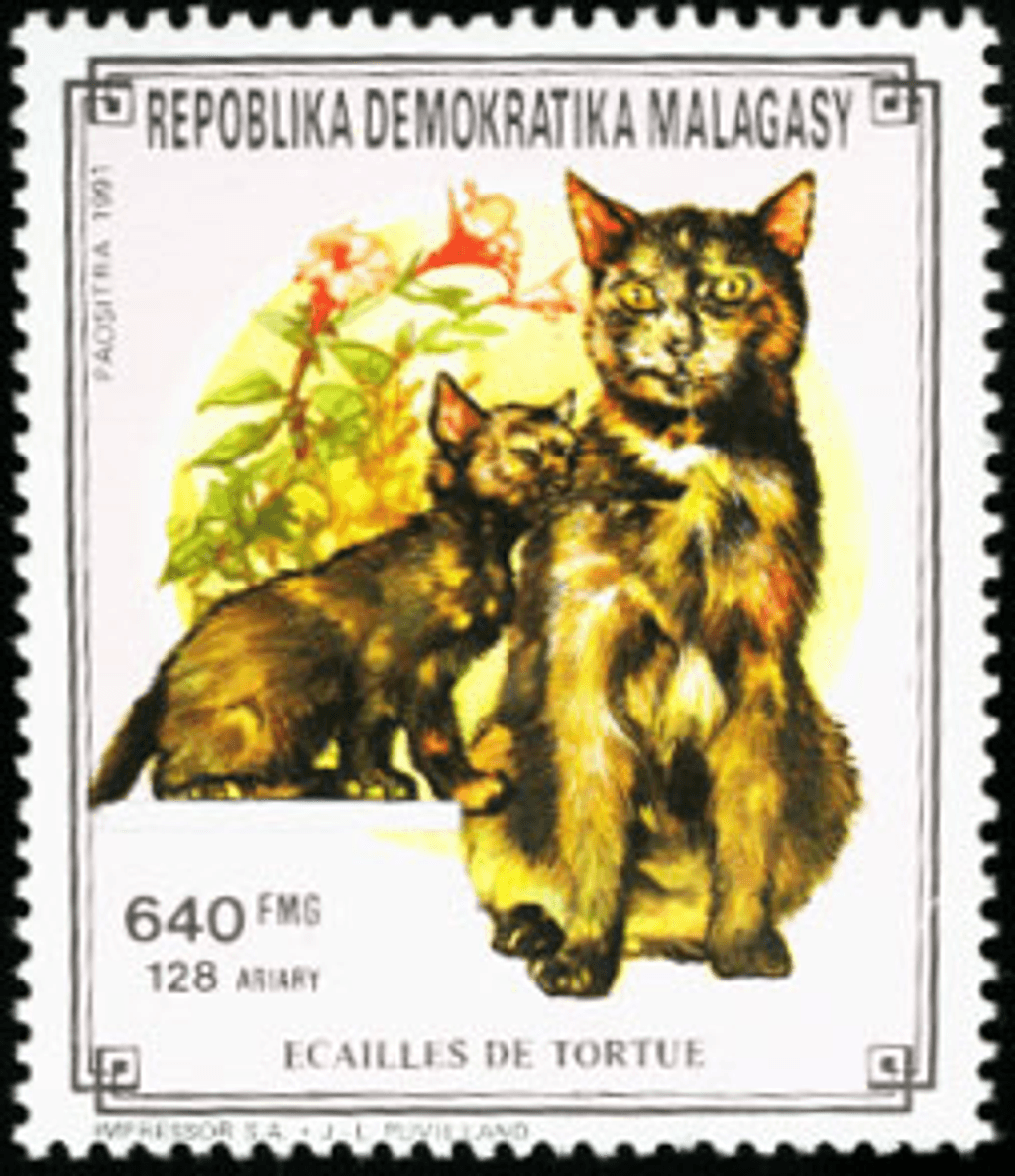 Domestic animals